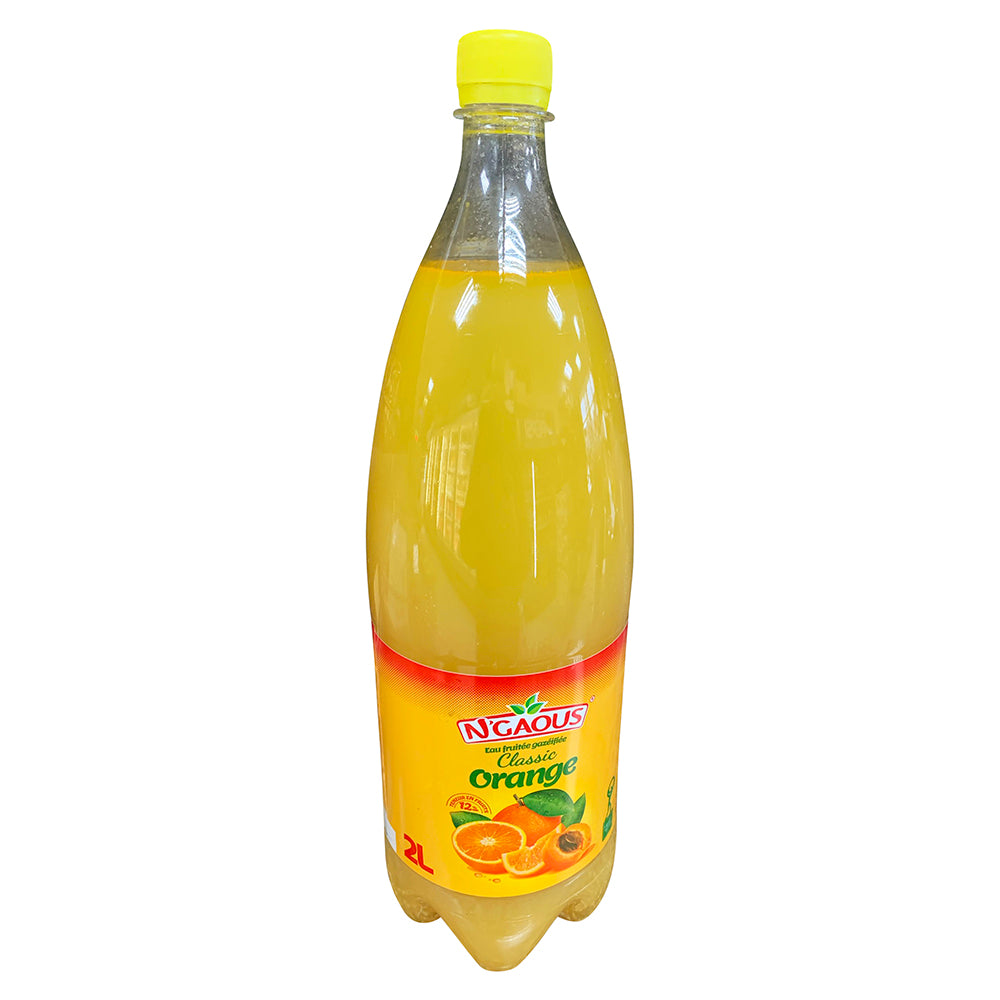 Boisson N'GAOUS Citron Menthe 2L